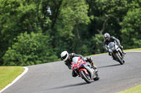 cadwell-no-limits-trackday;cadwell-park;cadwell-park-photographs;cadwell-trackday-photographs;enduro-digital-images;event-digital-images;eventdigitalimages;no-limits-trackdays;peter-wileman-photography;racing-digital-images;trackday-digital-images;trackday-photos